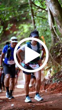 BIB:  <button type="button" onclick="openModal(27385873)" class="btn btn-primary btn-sm float-right" data-toggle="modal" data-target=".modal-high-quality">
                <i class="fa fa-download"></i> Download
                </button>